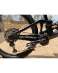 Bicicleta Specialized Enduro S-wokrs 2020 (Seminova)